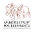 Amboseli trust for elephants